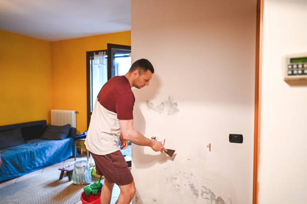 Best Mold Testing and Inspection Services in Oronoco, MN